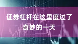 证券杠杆在这里度过了奇妙的一天