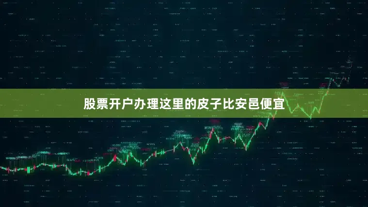 股票开户办理这里的皮子比安邑便宜