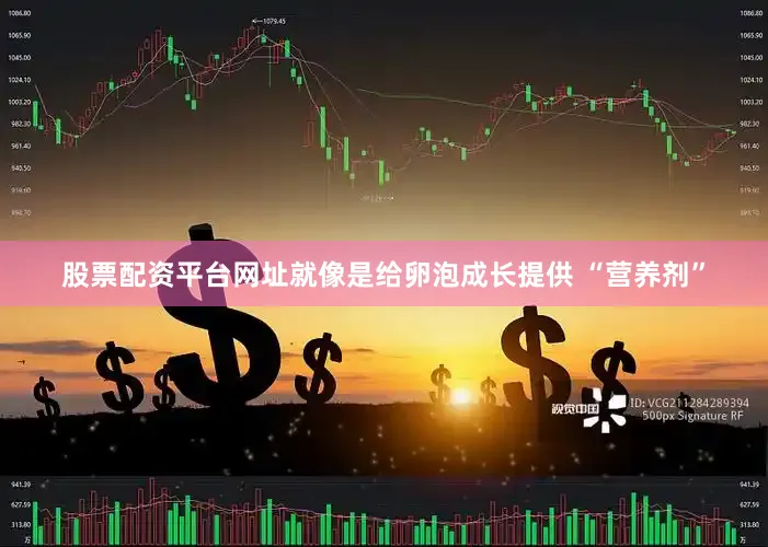 股票配资平台网址就像是给卵泡成长提供 “营养剂”